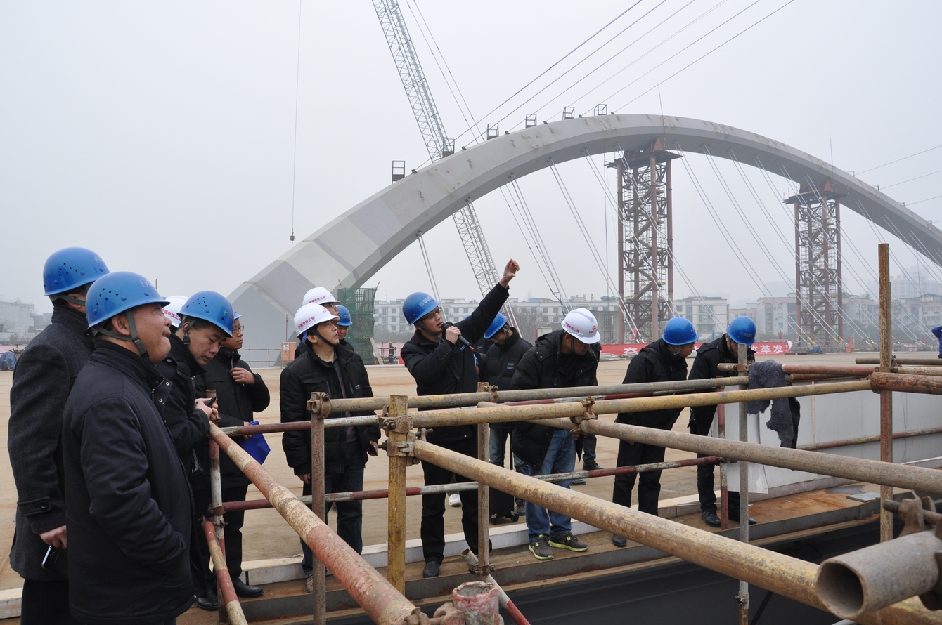 红星路南延线跨府河桥梁工程现场观摩会