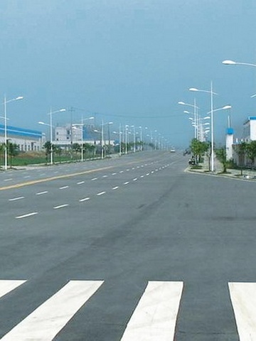 成华区龙潭片区“新居工程”配套市政道路工程项目管理工程
